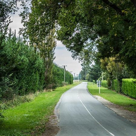 Mount Thomas Road B&B Rangiora Luaran gambar