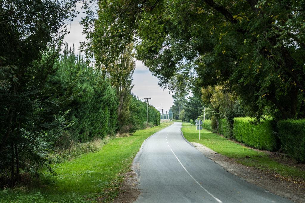 Mount Thomas Road B&B Rangiora Luaran gambar